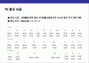 TV광고에 대한 이해 5페이지