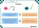 식기체척기 시장확대를 통한 브랜드 파워 강화 전략 29페이지