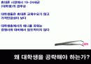 대학생 애니콜 메니아 만들기 전략 4페이지