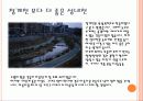 성내천에 대해서 알아보기 6페이지