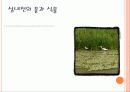 성내천에 대해서 알아보기 7페이지