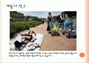 성내천에 대해서 알아보기 15페이지