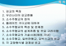 소수주형교 2페이지