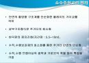 소수주형교 9페이지