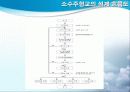 소수주형교 20페이지