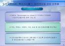전자정부 구축을 통한 행정개혁 사례-G4C를  중심으로- 10페이지