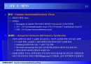 HIV 바이러스에 대하여 3페이지