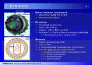 HIV 바이러스에 대하여 7페이지