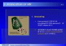 HIV 바이러스에 대하여 16페이지