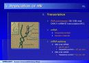 HIV 바이러스에 대하여 19페이지