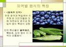 미국의 음식문화 및 한식과 미국식의 차이점 3페이지