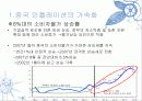중국의 물가상승과 글로벌영향 3페이지