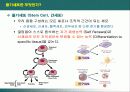 산업에서의 줄기세포 이용 3페이지