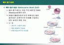 산업에서의 줄기세포 이용 6페이지