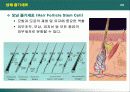 산업에서의 줄기세포 이용 12페이지