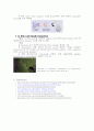 세포사멸(apoptosis)과 세포괴사(necrosis) 9페이지