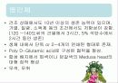 탄저병(Anthrax)에 관한 모든것(병원체,증상,역학,예방,치료,기사자료 등) 사진多 특A급// 발표 피피티자료 PPT 5페이지