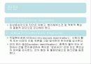 탄저병(Anthrax)에 관한 모든것(병원체,증상,역학,예방,치료,기사자료 등) 사진多 특A급// 발표 피피티자료 PPT 33페이지