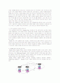   [2007년11월]2007유비쿼터스 이동성 관리에 관한 보고서  3페이지