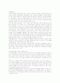 기업정보화의 문제점과 대안 6페이지