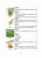 한국의 전통차, 다과, 떡, 음식에 대한 조사자료 4페이지