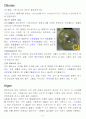 각 원소별 특성 (주기율표 1~36번 : 1~4족까지) 10페이지