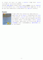 각 원소별 특성 (주기율표 1~36번 : 1~4족까지) 19페이지
