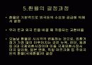 환율이 경제에 미치는 영향과 대처방안 10페이지