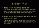 환율이 경제에 미치는 영향과 대처방안 12페이지