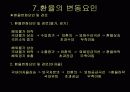 환율이 경제에 미치는 영향과 대처방안 14페이지