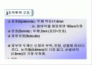 피부의 구조 및 구성  6페이지