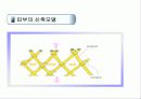 피부의 구조 및 구성  32페이지
