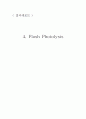 Flash Photolysis 1페이지
