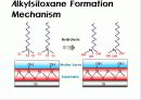 SAMs(Self-assembled monolayers) 17페이지