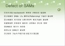 샘즈[SAMs]에 관해 10페이지