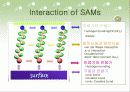 샘즈[SAMs]에 관해 16페이지