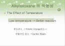 샘즈[SAMs]에 관해 32페이지