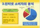 인터넷에서의 소비자 행동의 특성 및 분석 12페이지