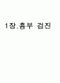 흉부건강사정 2페이지