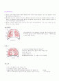 흉부건강사정 14페이지