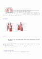 흉부건강사정 15페이지