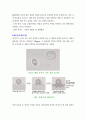 화분증(化粉症) 대책섬유 3페이지