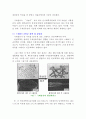 마이크로파이버(극세섬유)의 제법 및 전망 11페이지