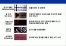 남성 패션“남자의 패션은 전략이다” 28페이지