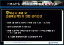 서브프라임 모기지 현상 10페이지