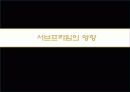 서브프라임 모기지 현상 13페이지