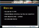 서브프라임 모기지 현상 16페이지