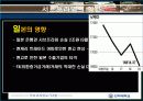 서브프라임 모기지 현상 17페이지
