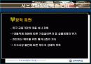 서브프라임 모기지 현상 19페이지