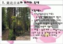 일본동북지역의 생활과 문화 5페이지